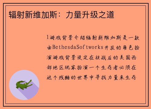 辐射新维加斯：力量升级之道